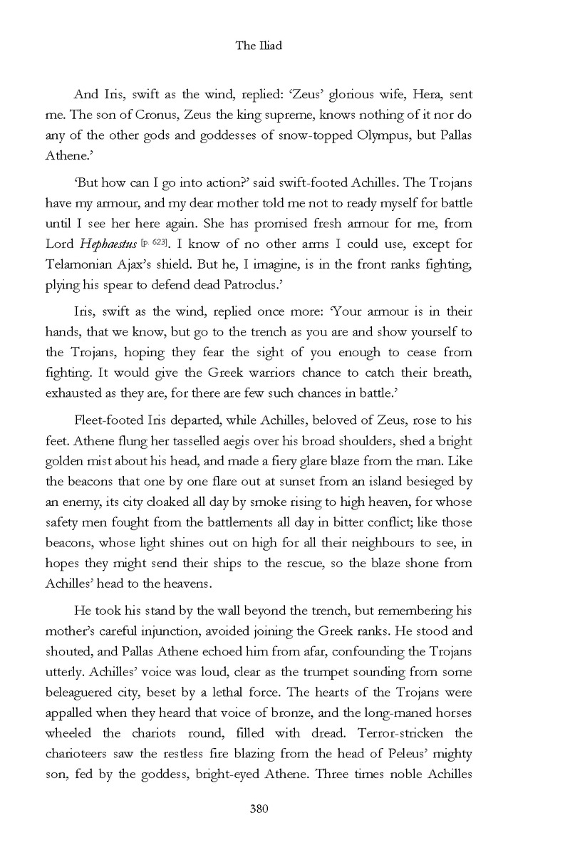 The Iliad - Page 374